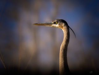 CB Photography